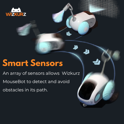Wizkurz MouseBot