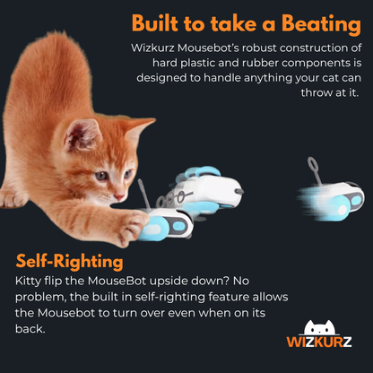 Wizkurz MouseBot