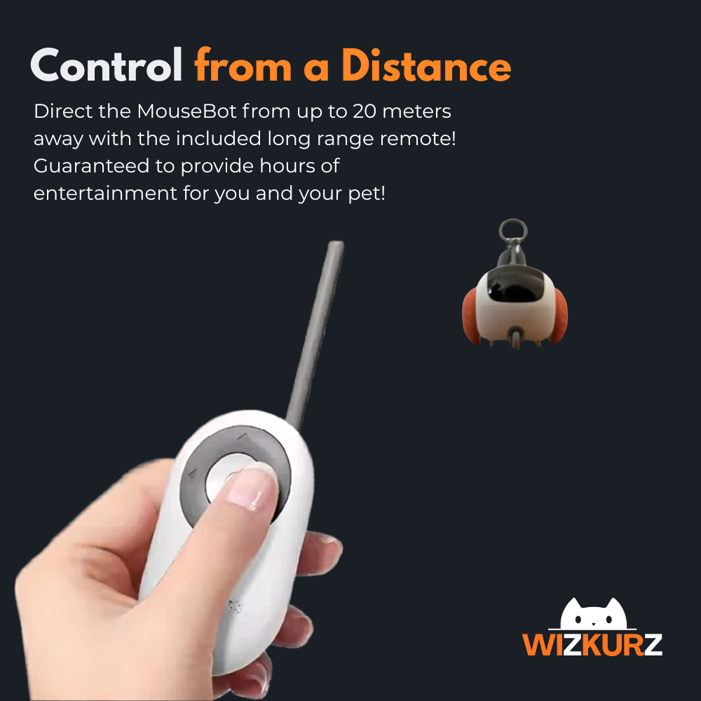 Wizkurz MouseBot